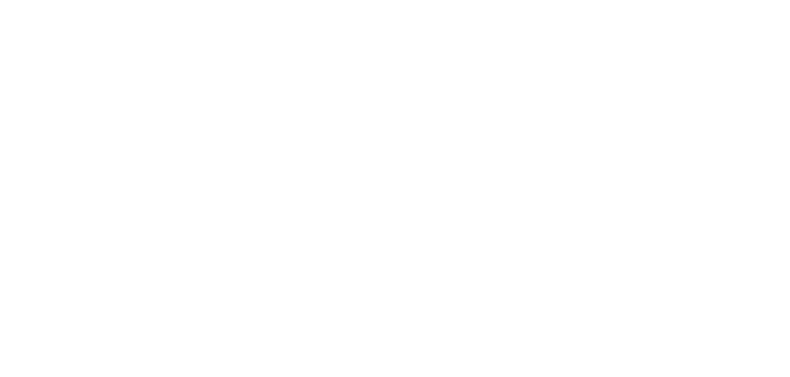 logo-fox